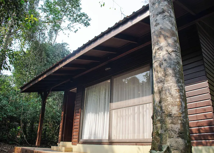 Yvy Hotel De Selva